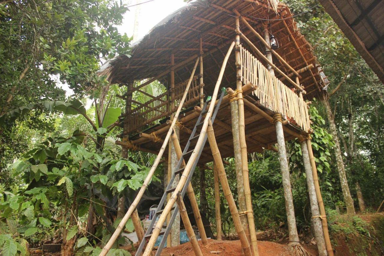 Wayanad Days Villa มานันทาวดี ภายนอก รูปภาพ